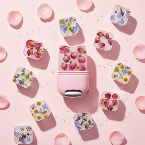 Pink Botanical Ice Flatlay